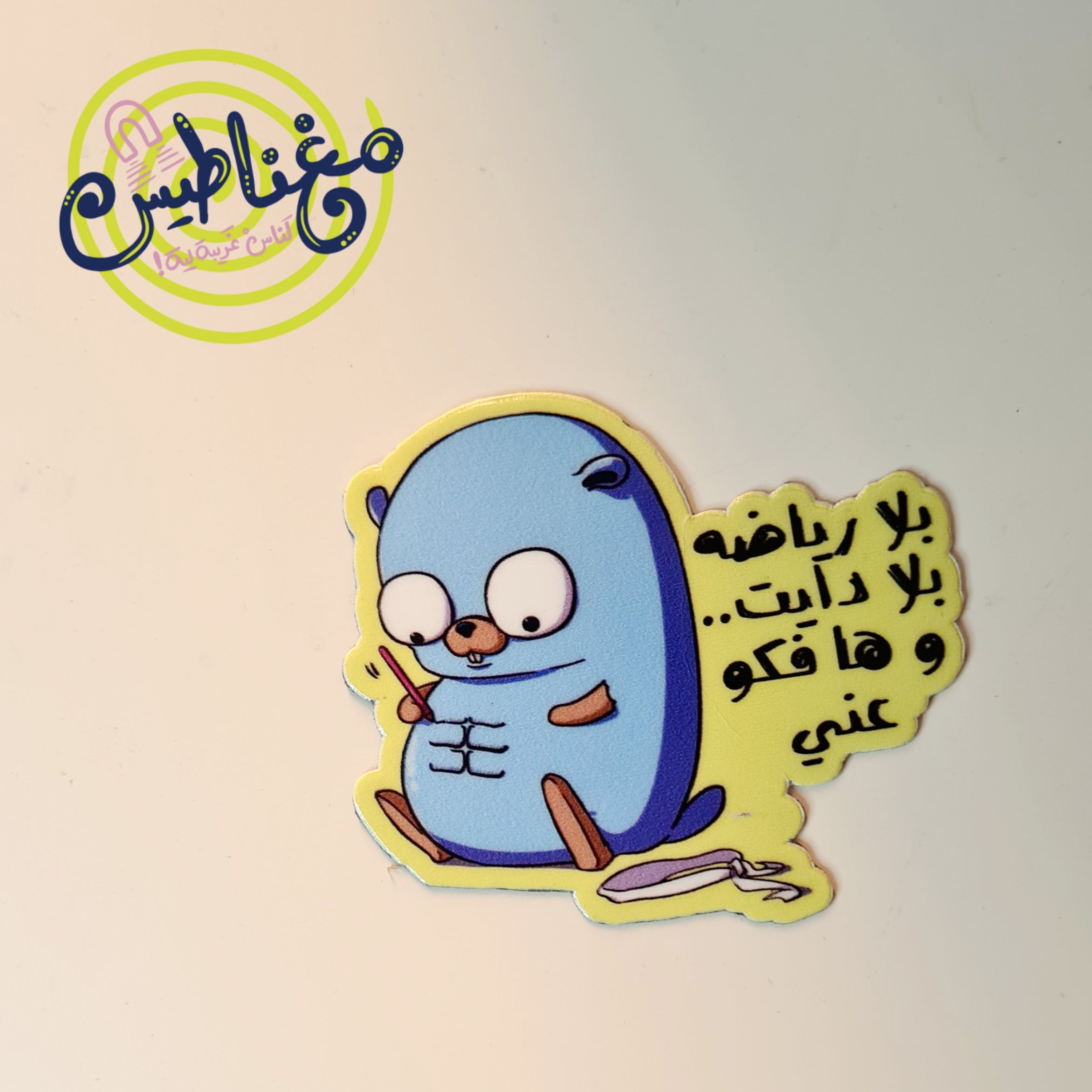 Magnets/مغناطيس